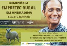 Photo of Primeira turma do Empretec Rural será formada em Andradina
