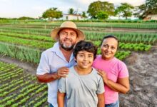 Photo of AGROFAM: Evento pretende resgatar tradição das antigas exposições agropecuárias