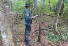 Photo of Polícia Militar Ambiental de Castilho realiza operação alusivo ao Dia Mundial da Água